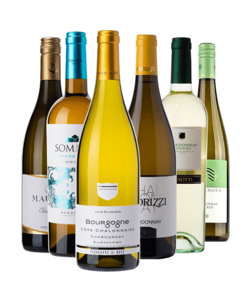 Probierpaket "Chardonnay für Einsteiger"