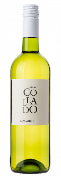 Bodegas Ainzón Sierra Collado Macabeo blanco