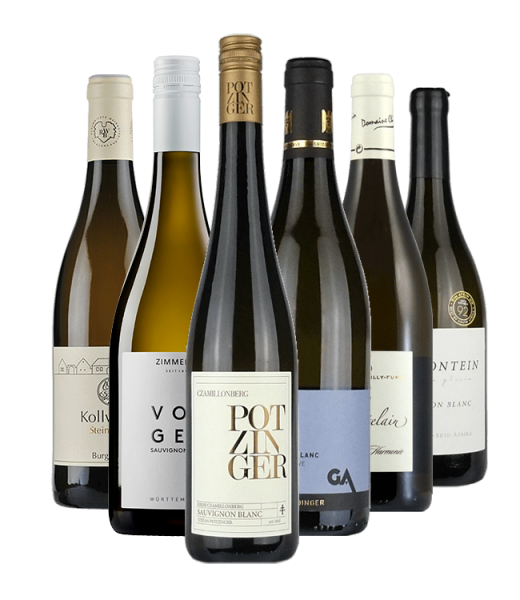Probierpaket Sauvignon Blanc "Exclusiv"