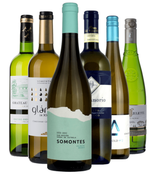 Probierpaket Weißweine