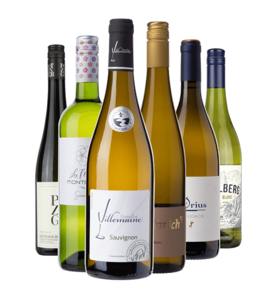 Probierpaket Sauvignon Blanc